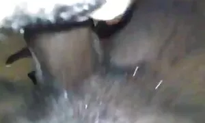 आबनूस राणी माझ्या डि ...